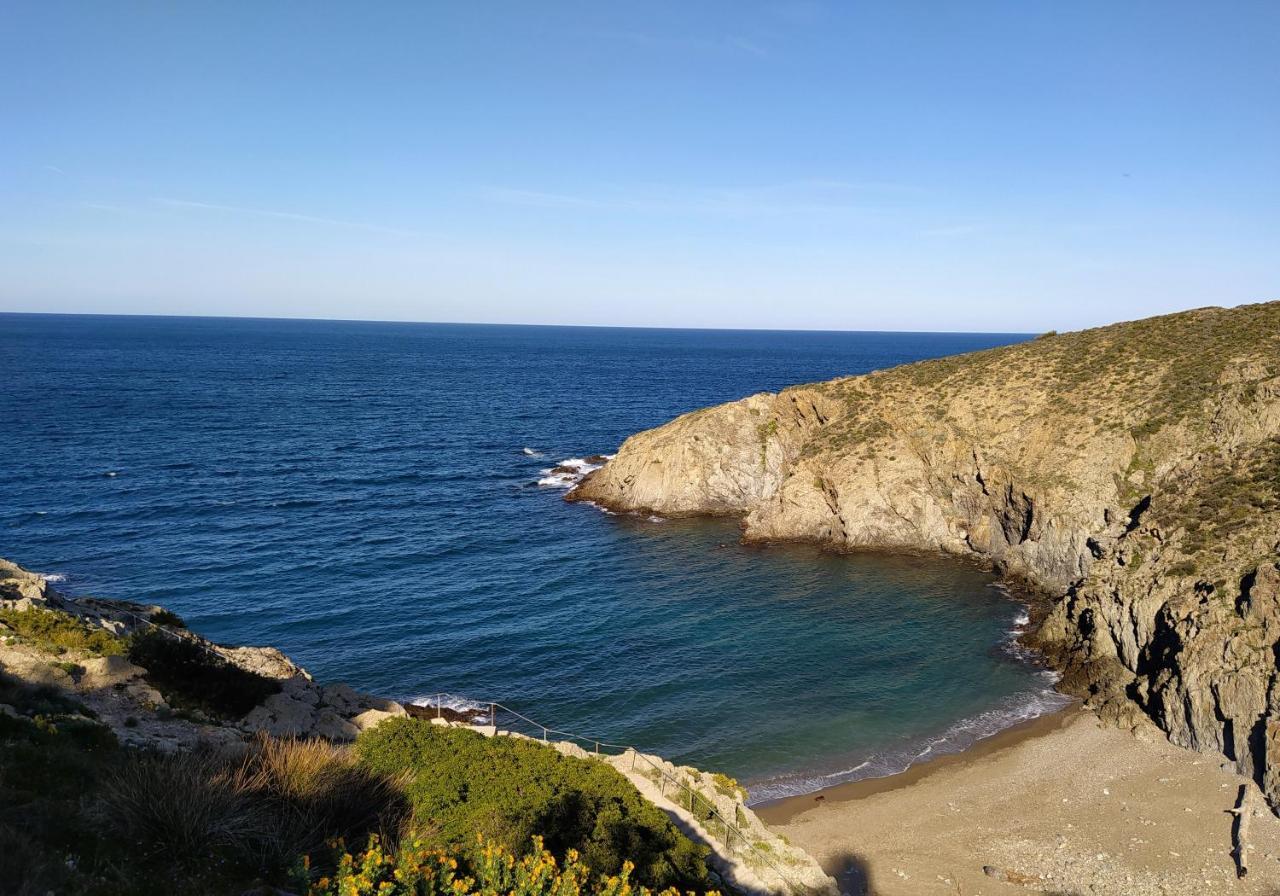 T 2 Tout Confort Avec Terrasse Vue Mer Et Montagne. Banyuls-sur-Mer Eksteriør billede